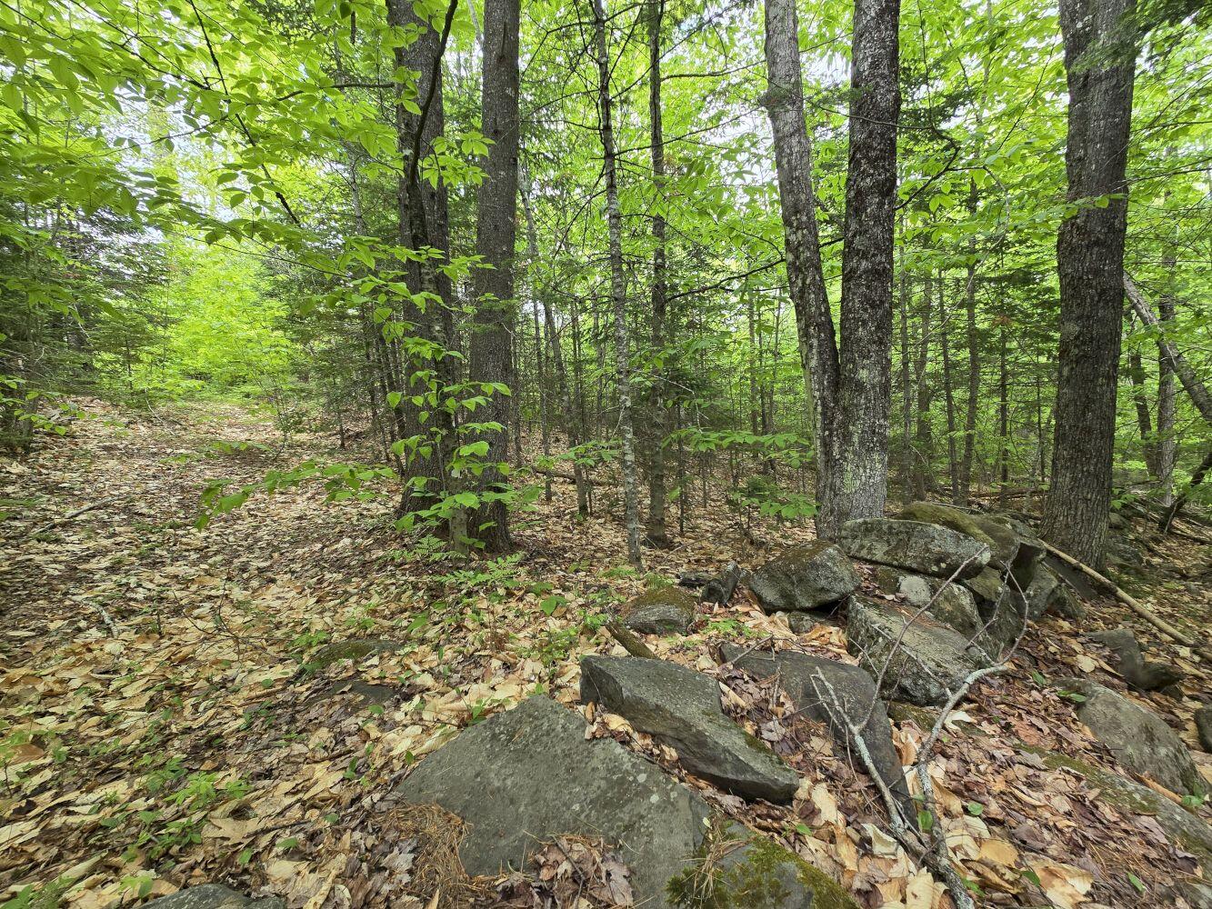 Lot 10 Staples Pond Road Temple, ME 04984 - Photo 12 of 56 20260528_130616_result