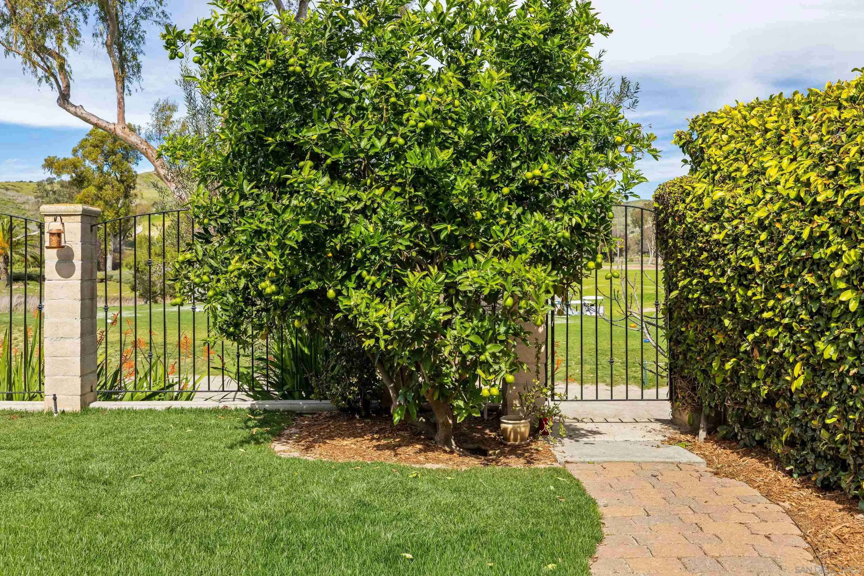 4422 Point Degada Oceanside, CA 92058 - Photo 46 of 57 a view of backyard with plants and large trees