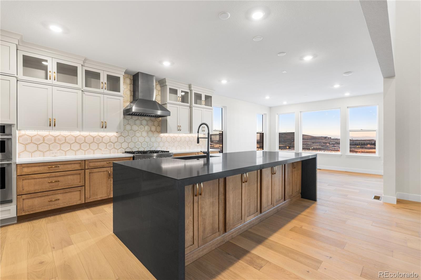 11283 Tenor Trail Lone Tree, CO 80134 - Photo 19 of 47 a kitchen with stainless steel appliances granite countertop a sink and cabinets