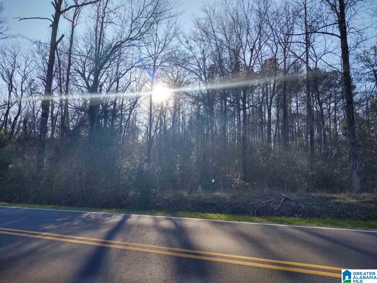 0 Highway 17, Unit 1 Montevallo, AL 35115 - Photo 2 of 7
