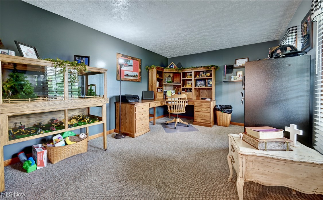 9559 Trail Bottom Road Northwest Dundee, OH 44624 - Photo 12 of 48 Carpeted office with a textured ceiling and baseboards