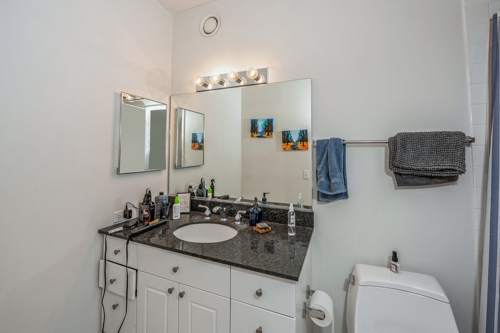 512 North McClurg Court, Unit 504 Chicago, IL 60611 - Photo 9 of 12