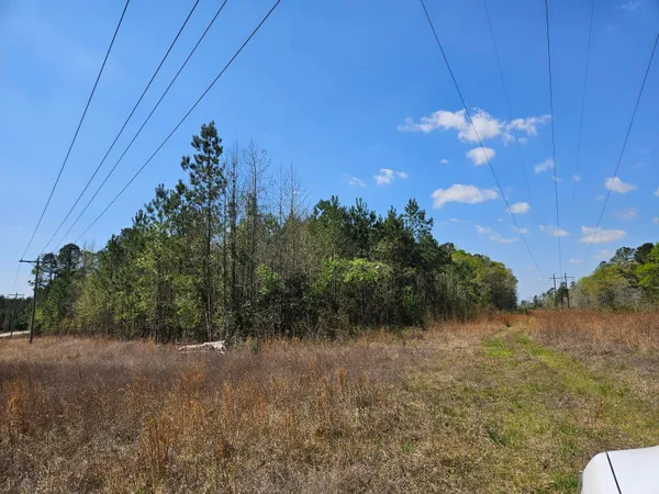 $75,000 | 6.9-ac Easler Highway, Greeleyville, SC 29056