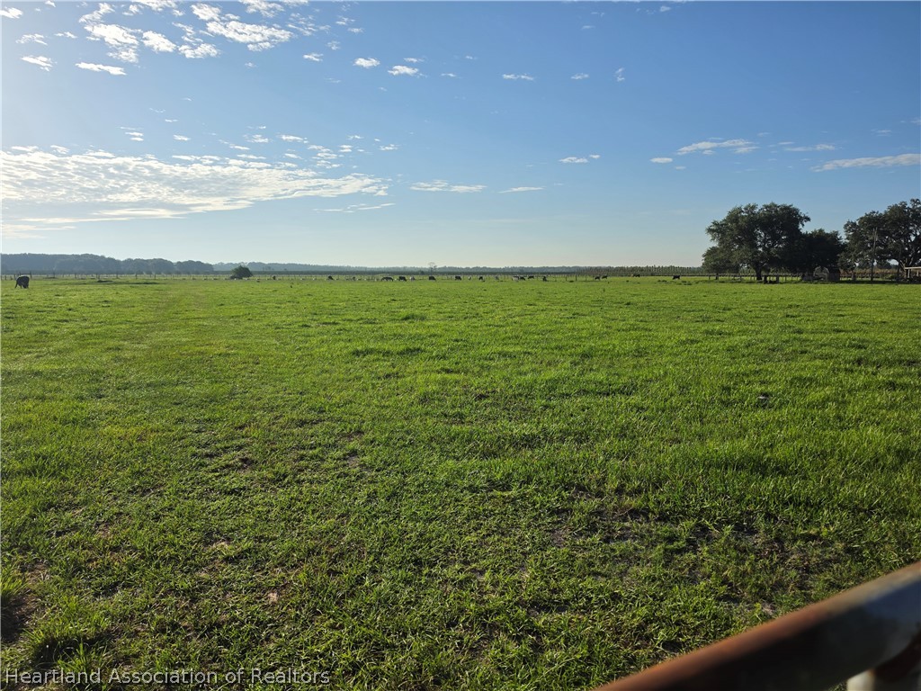 0 West Bereah Road Fort Meade, FL 33841 - Photo 4 of 12
