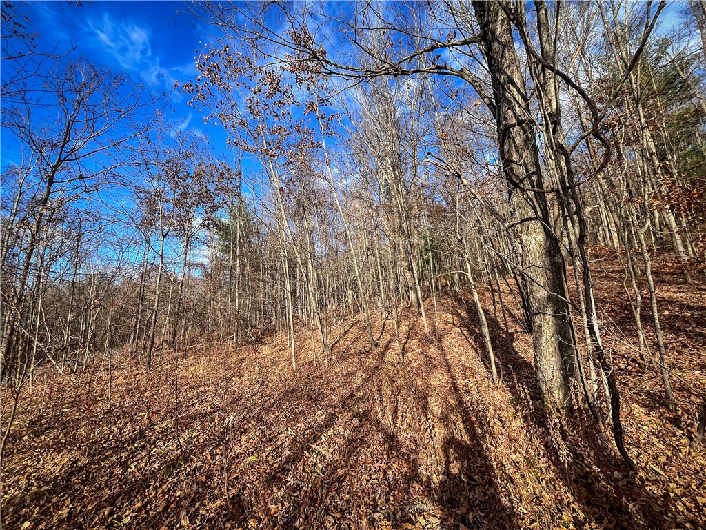 1188 Braybrook Road Chemung, NY 14861 - Photo 8 of 45
