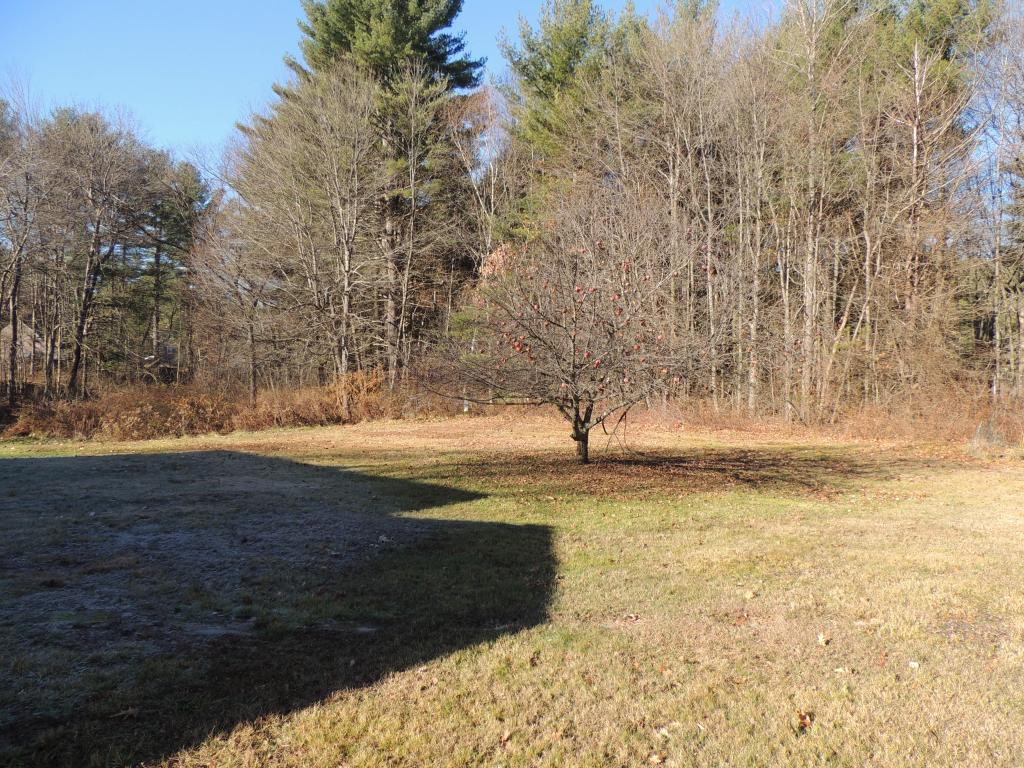 7 Pine Road Hudson, NH 03051 - Photo 8 of 30