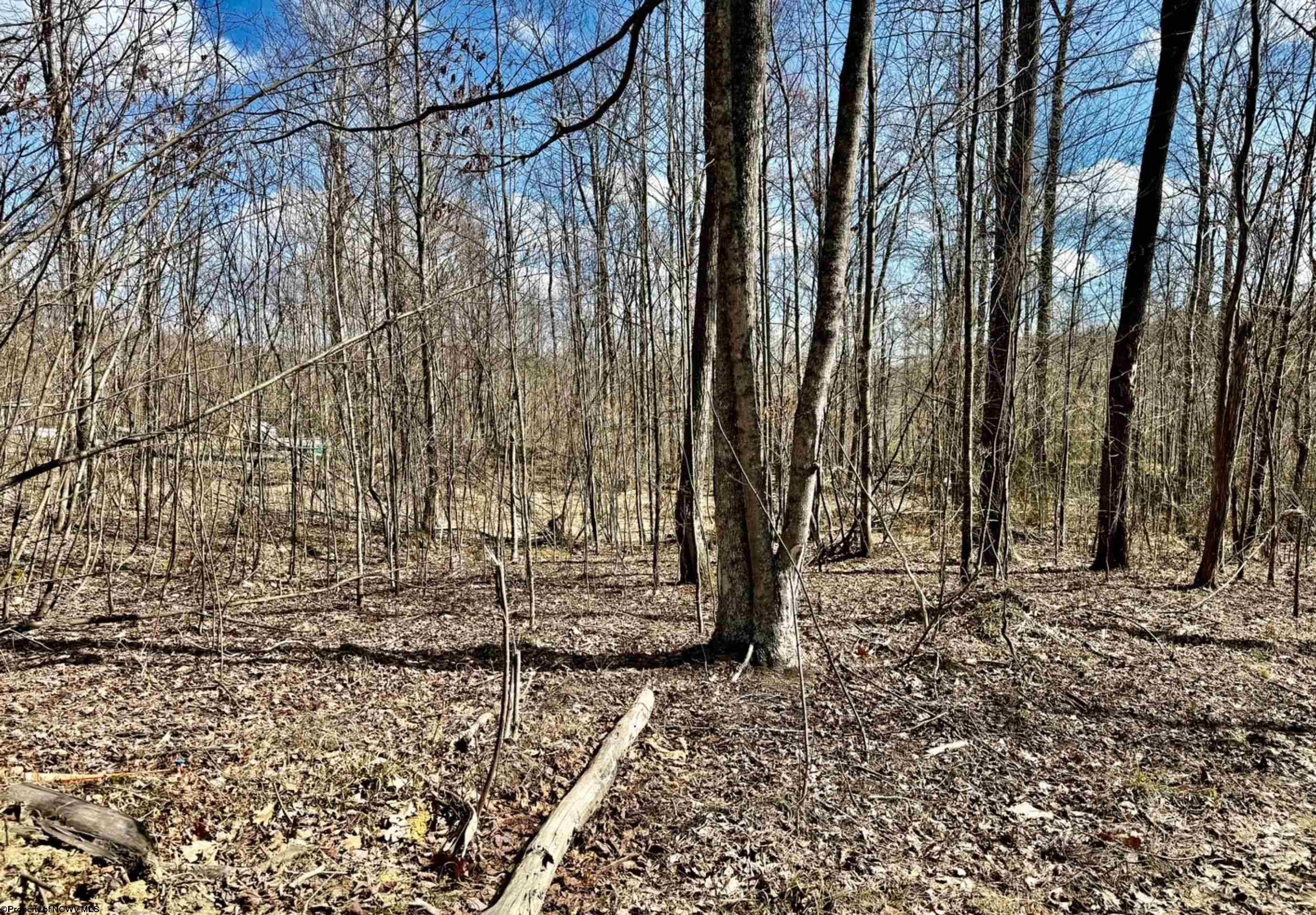 Lot 5 Brooklyn Road Parsons, WV 26287 - Photo 2 of 15 Gallery Image 2