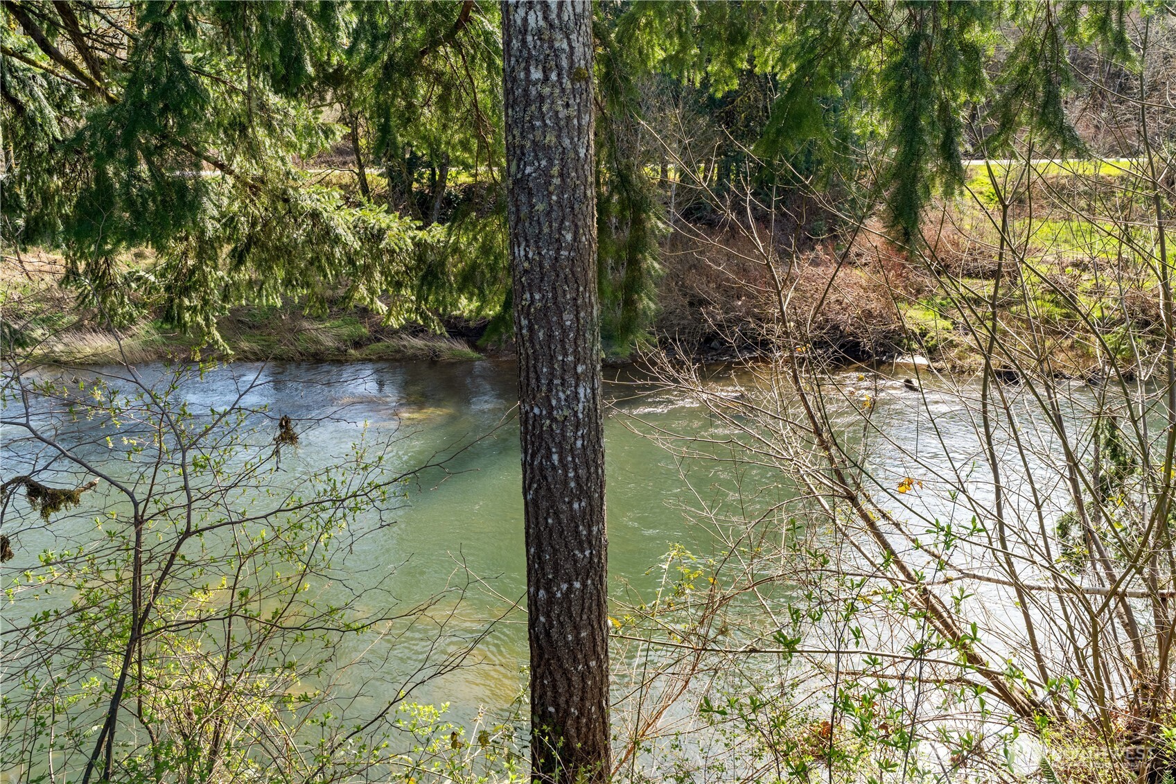 110 Chandler Road Chehalis, WA 98532 - Photo 29 of 34