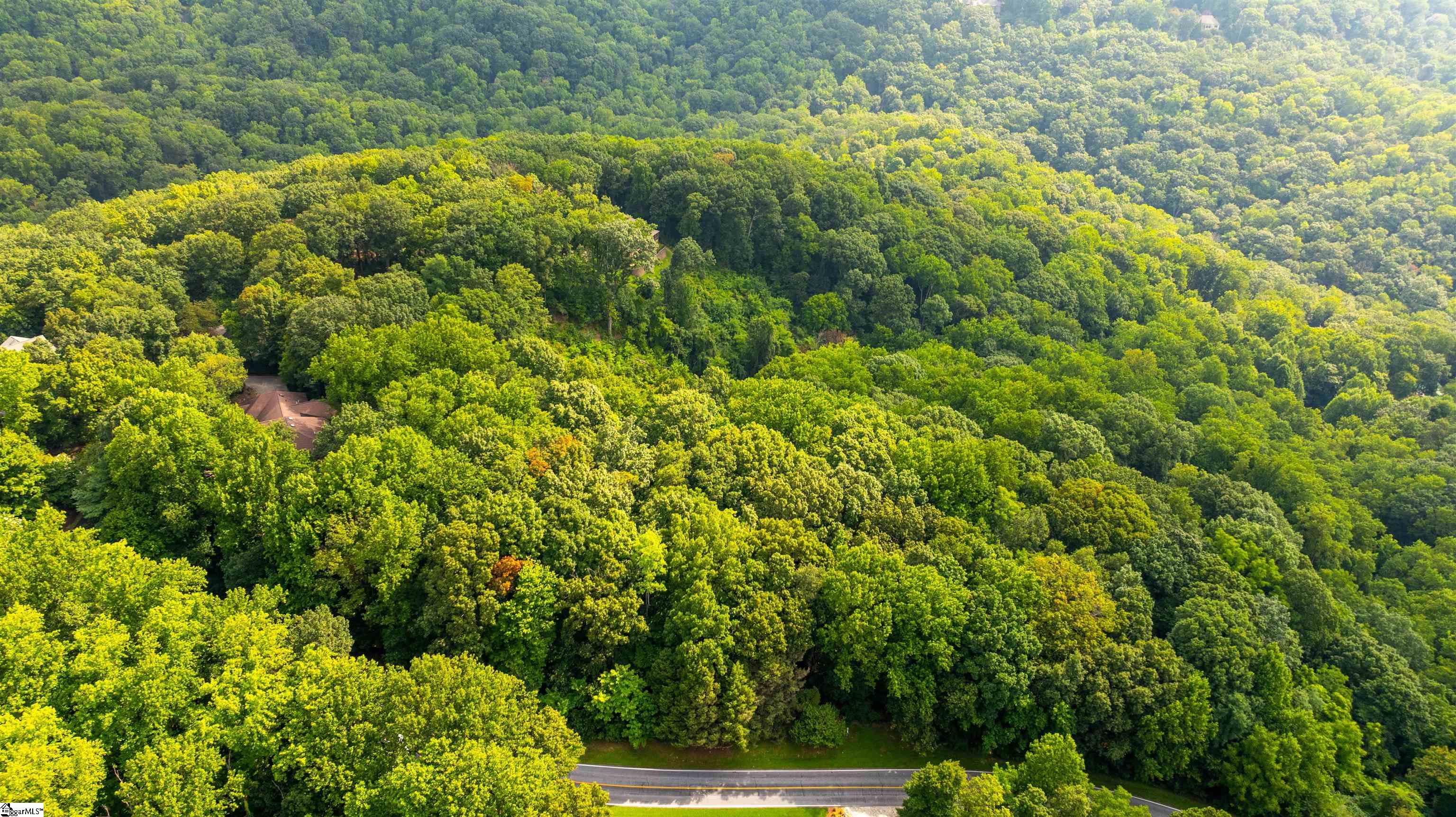 0 Plumley Summit Road Landrum, SC 29356 - Photo 3 of 3