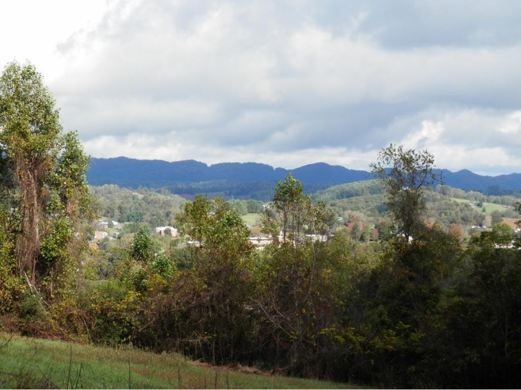 209 Overview Loop Jonesville, VA 24263 - Photo 14 of 14 Photo 14