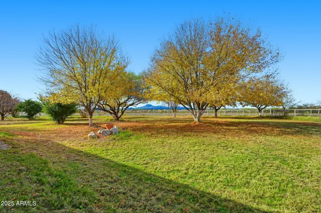 a view of road with trees