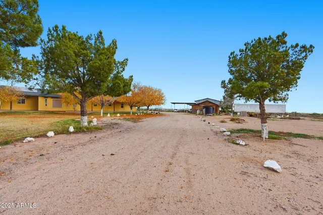 a view of yard with tree and green space