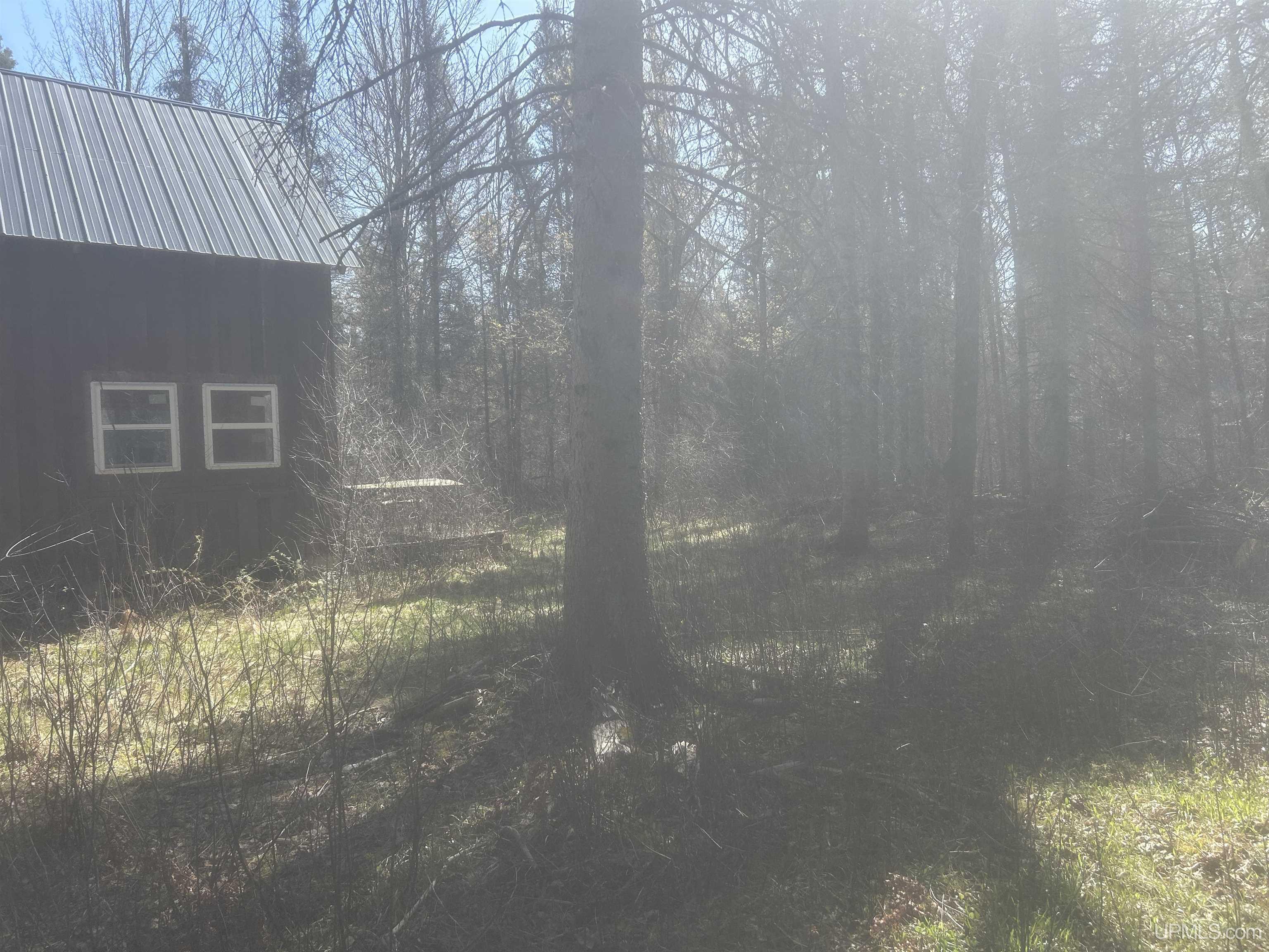 Tbd Goodhall Road Gaastra, MI 49927 - Photo 8 of 17