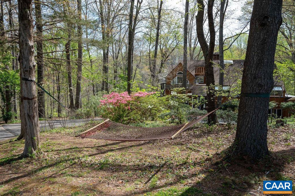 340 Cedar Bluff Road Charlottesville, VA 22901 - Photo 74 of 75