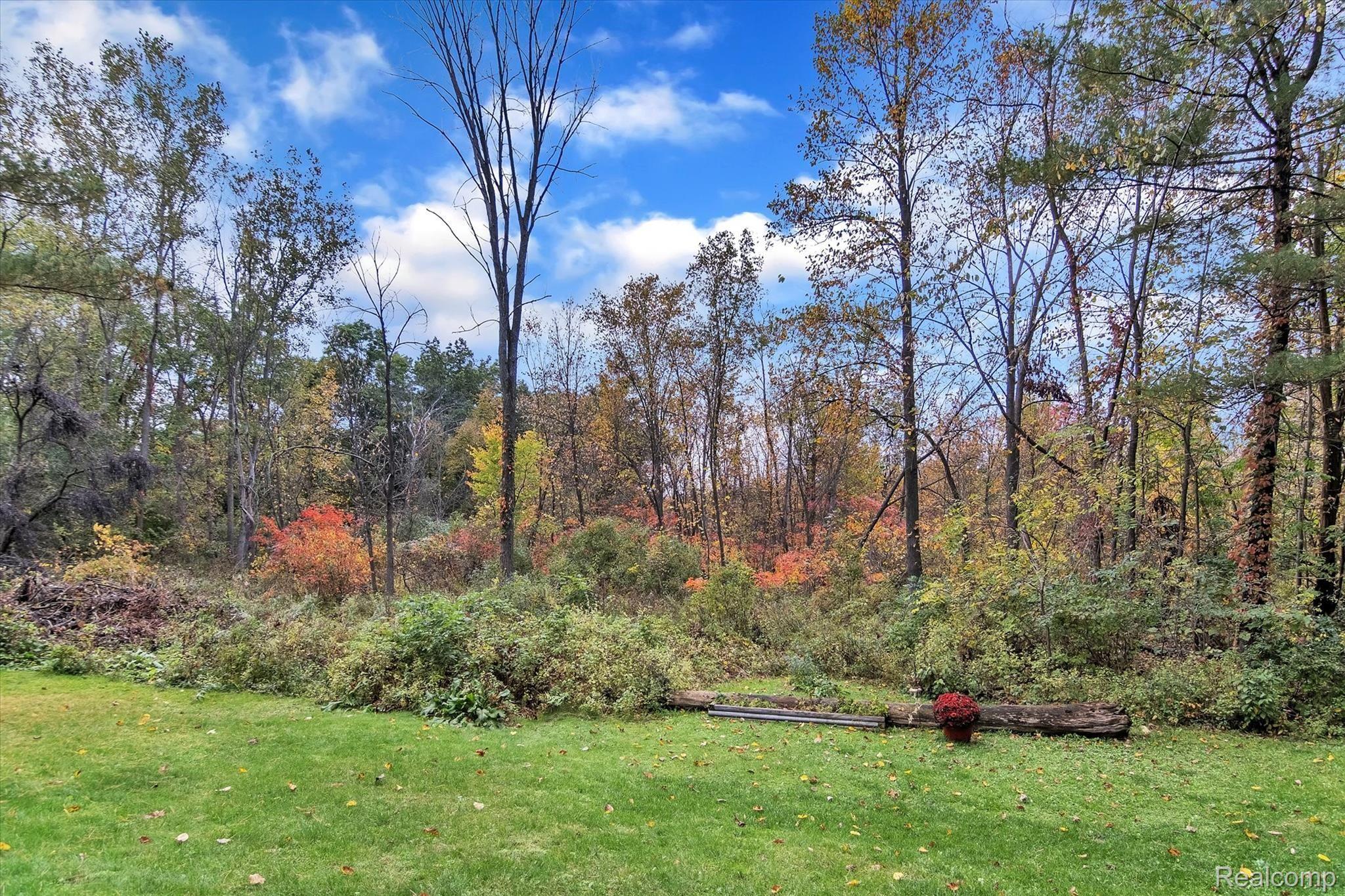 10419 Maple Road Hartland, MI 48353 - Photo 37 of 37 Private and wooded view of backyard