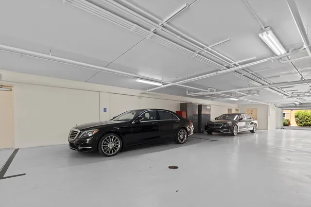 a view of a bunch of flowers