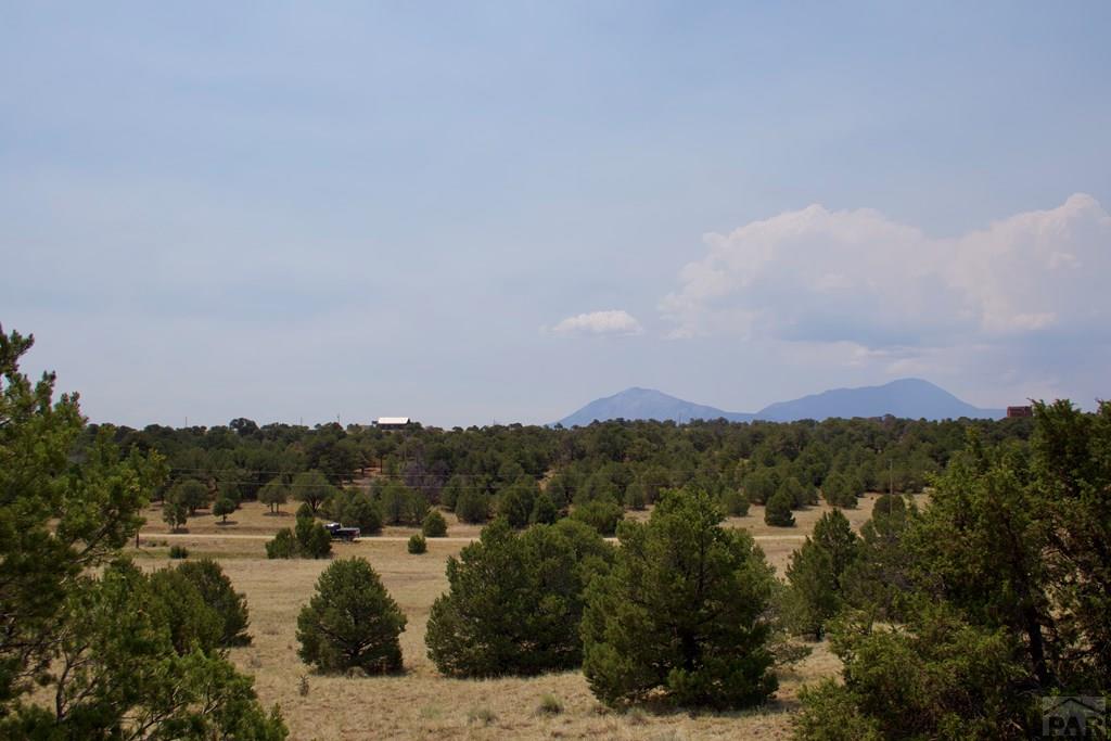 Unit #4 Unit Road Walsenburg, CO 81089 - Photo 18 of 36