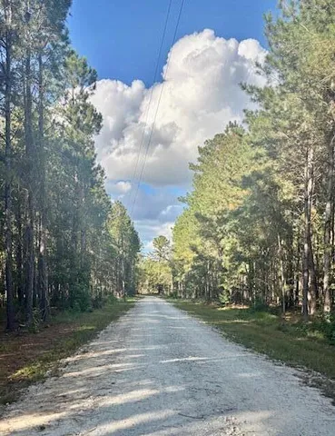 $128,900 | 432 River Bluff Trail, St. Stephen, SC 29479