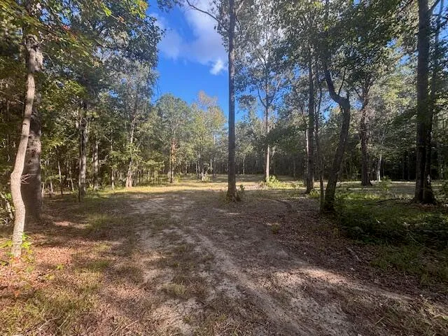 $128,900 | 432 River Bluff Trail, St. Stephen, SC 29479