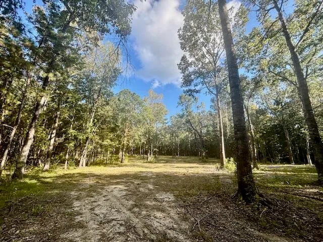 $128,900 | 432 River Bluff Trail, St. Stephen, SC 29479