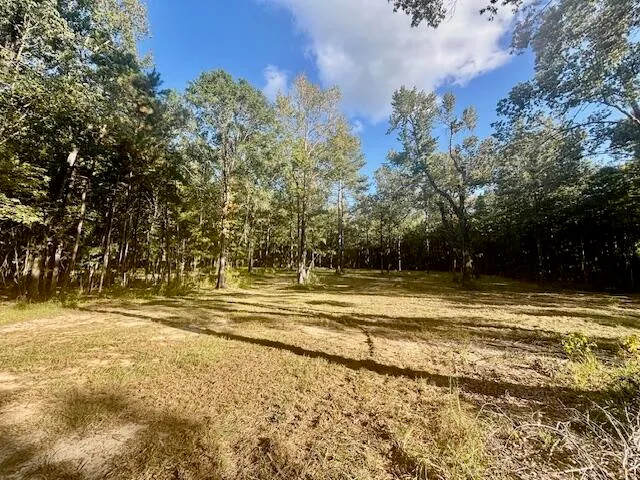 $128,900 | 432 River Bluff Trail, St. Stephen, SC 29479