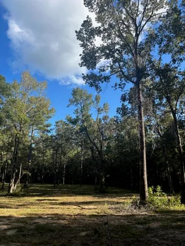 $128,900 | 432 River Bluff Trail, St. Stephen, SC 29479