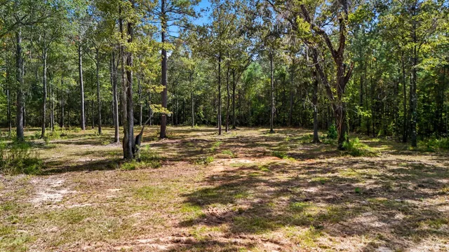 $128,900 | 432 River Bluff Trail, St. Stephen, SC 29479