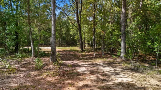 $128,900 | 432 River Bluff Trail, St. Stephen, SC 29479