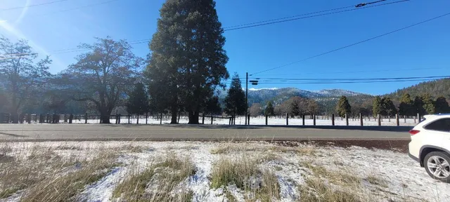 a view of dirt yard with a large tree