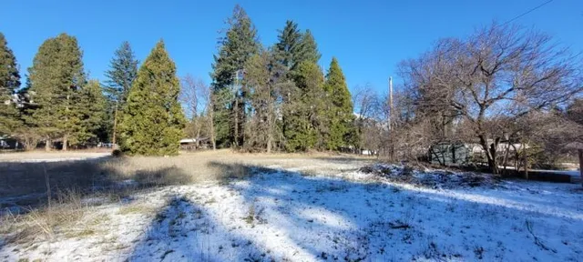 a view of a yard with trees