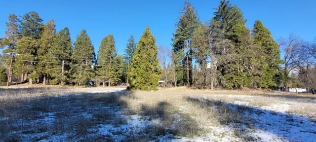 a view of a street with a building in the background