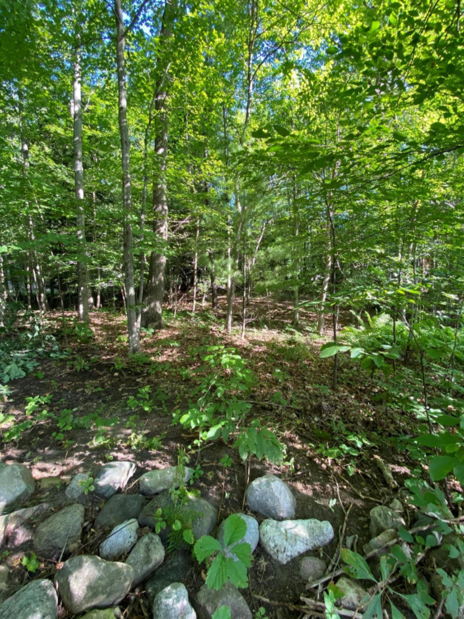 0 East Deer Road Fountain, MI 49410 - Photo 2 of 6 2