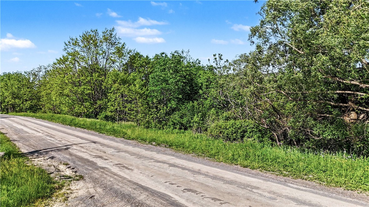 Case Road Canandaigua, NY 14424 - Photo 4 of 12