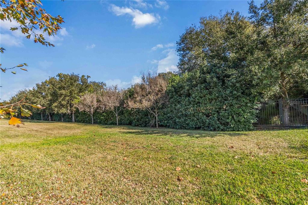 2463 Datura Loop St. Cloud, FL 34772 - Photo 41 of 57 a view of a yard with a trees