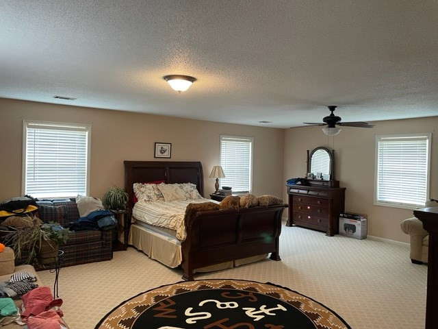 2066 Scuffle Road Thomson, GA 30824 - Photo 11 of 31 Gallery Image 11