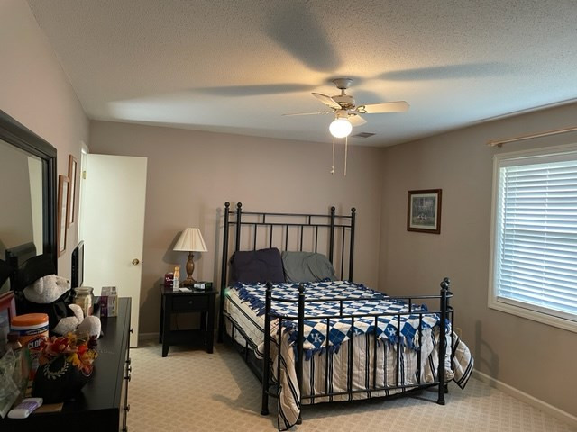 2066 Scuffle Road Thomson, GA 30824 - Photo 9 of 31 Gallery Image 9