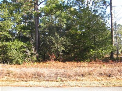 372 Walnut Road Southport, NC 28461 - Photo 1 of 2 Primary Photo