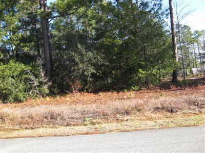 372 Walnut Road Southport, NC 28461 - Photo 2 of 2 Additional Photo