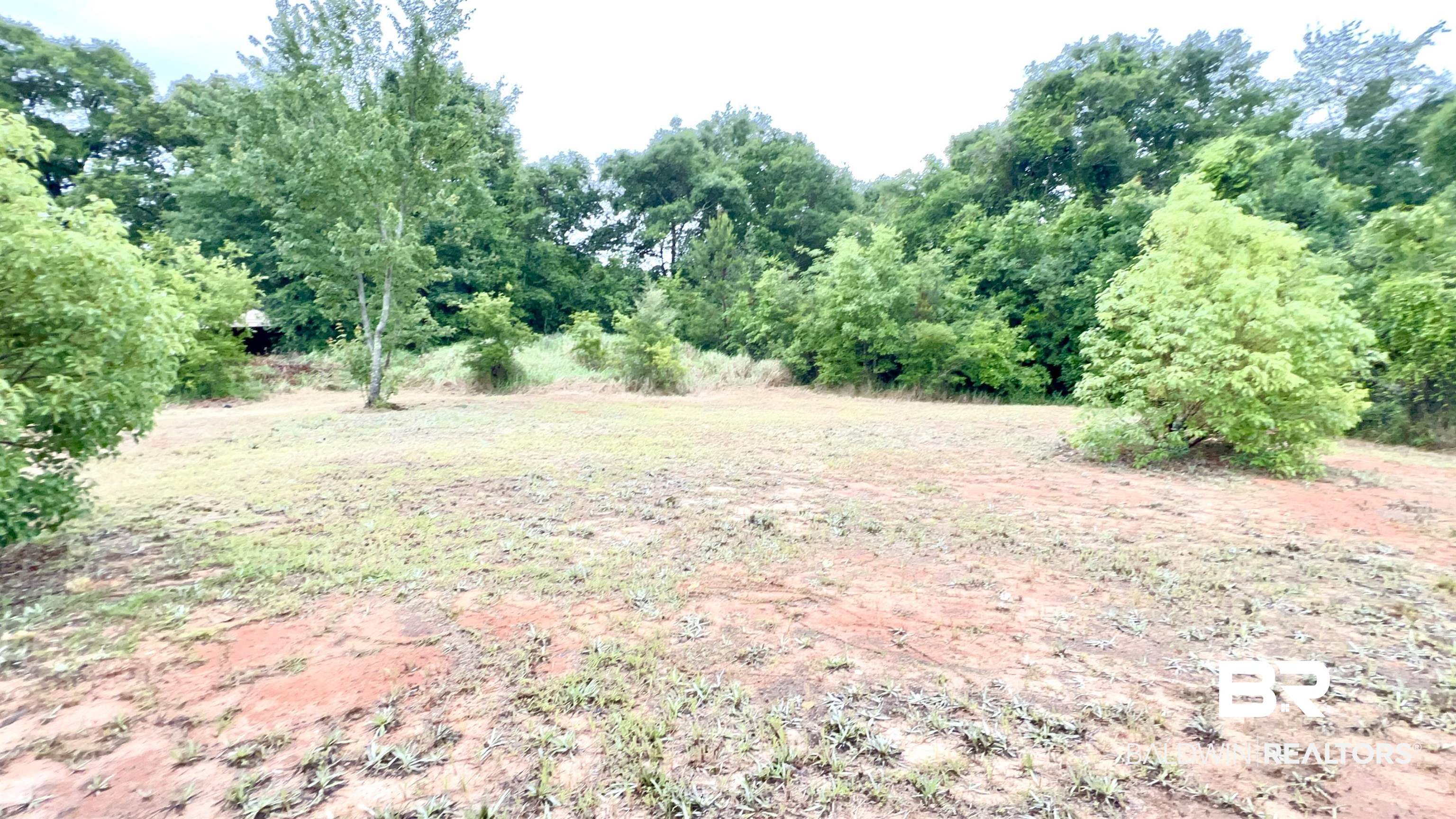 8579 Silver Maple Drive Mobile, AL 36619 - Photo 1 of 9