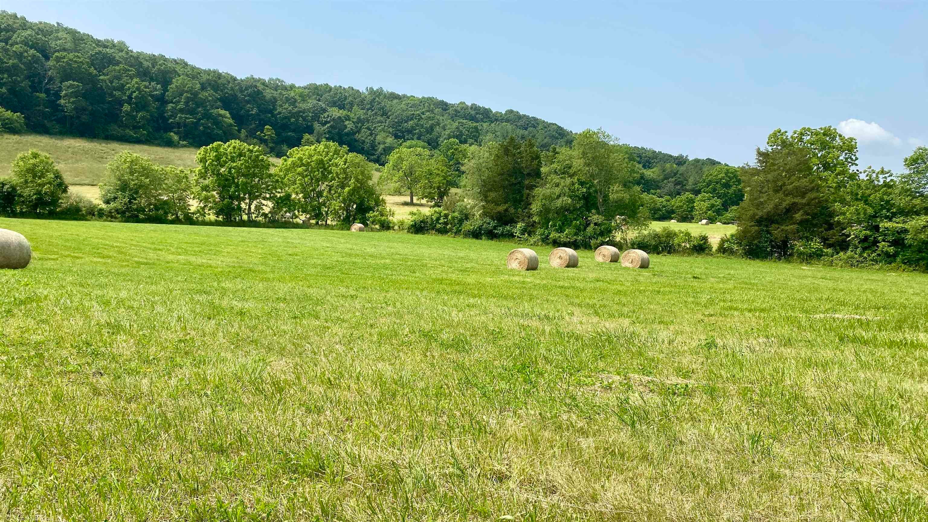 Tbd West Ridge Road Wytheville, VA 24382 - Photo 15 of 33 Gallery Image 15