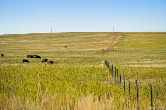 a view of a swimming pool