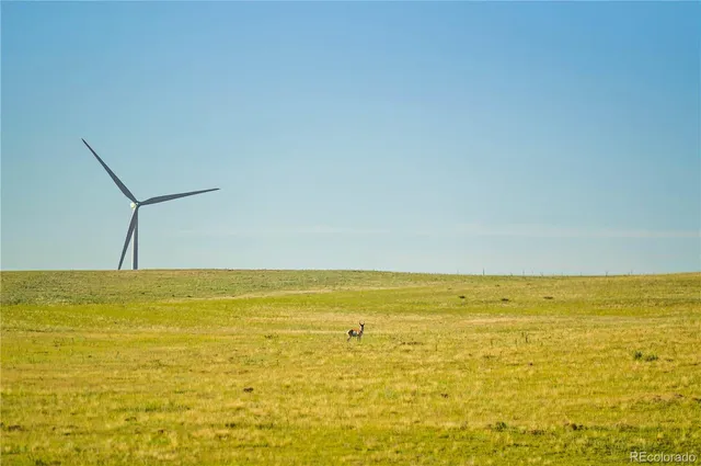 a view of an ocean and beach
