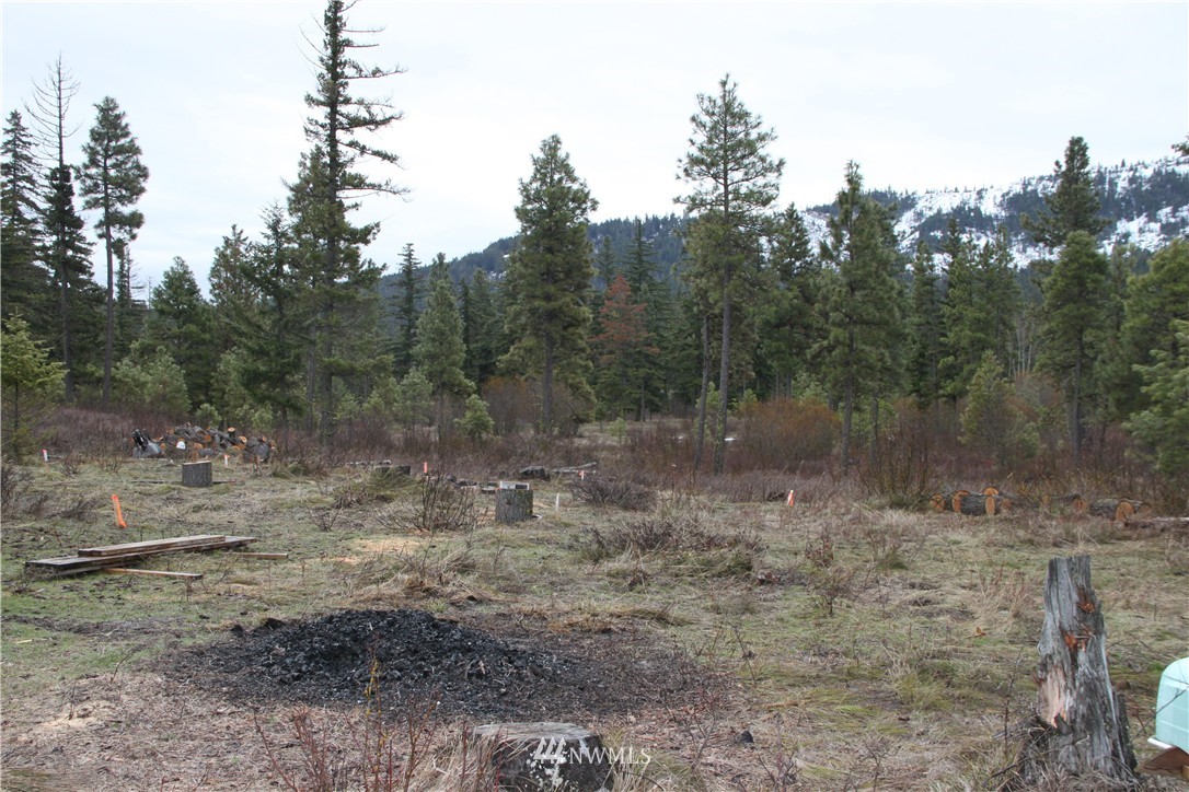 460 Colfax Road Cle Elum, WA 98922 - Photo 11 of 20 Gallery Image 11