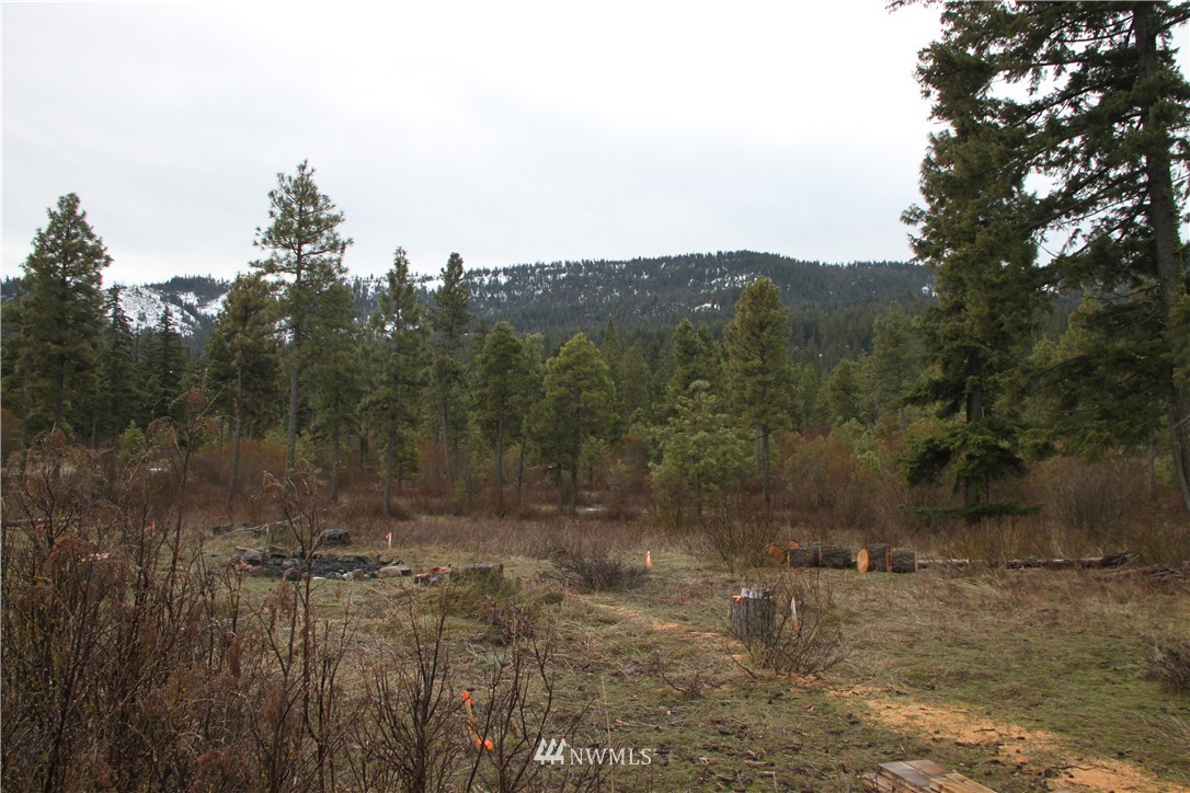 460 Colfax Road Cle Elum, WA 98922 - Photo 14 of 20 Gallery Image 14