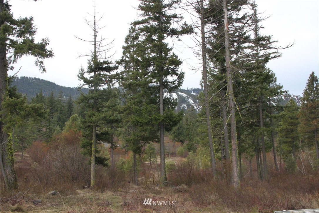 460 Colfax Road Cle Elum, WA 98922 - Photo 15 of 20 Gallery Image 15