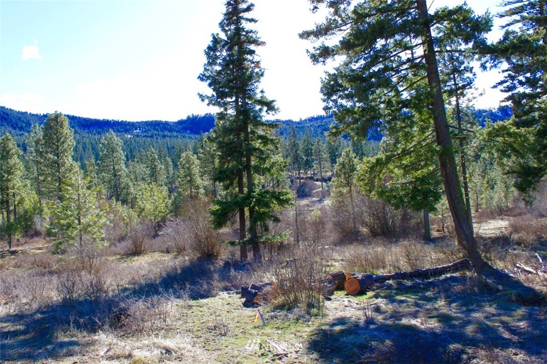 460 Colfax Road Cle Elum, WA 98922 - Photo 18 of 20 Gallery Image 18