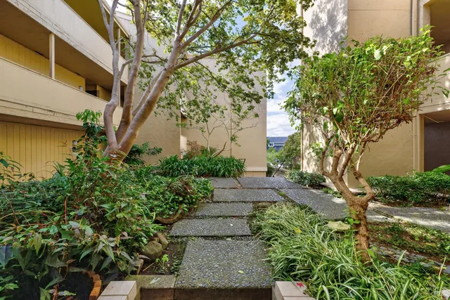 a view of a back yard of the house