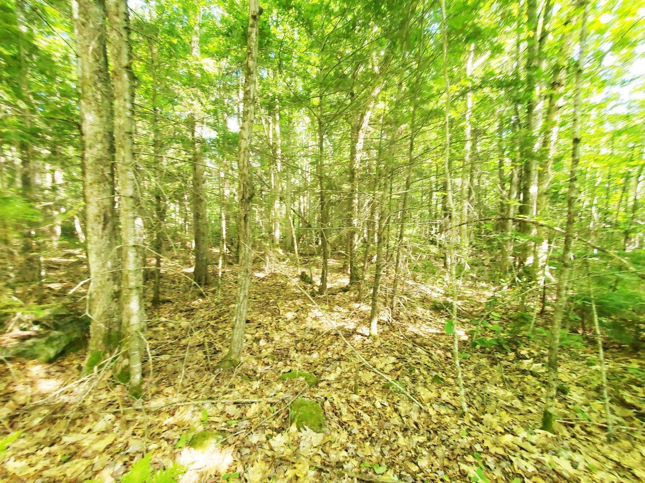 501 Pullen Woods Road Palermo, ME 04354 - Photo 60 of 62 20260717_154646 A