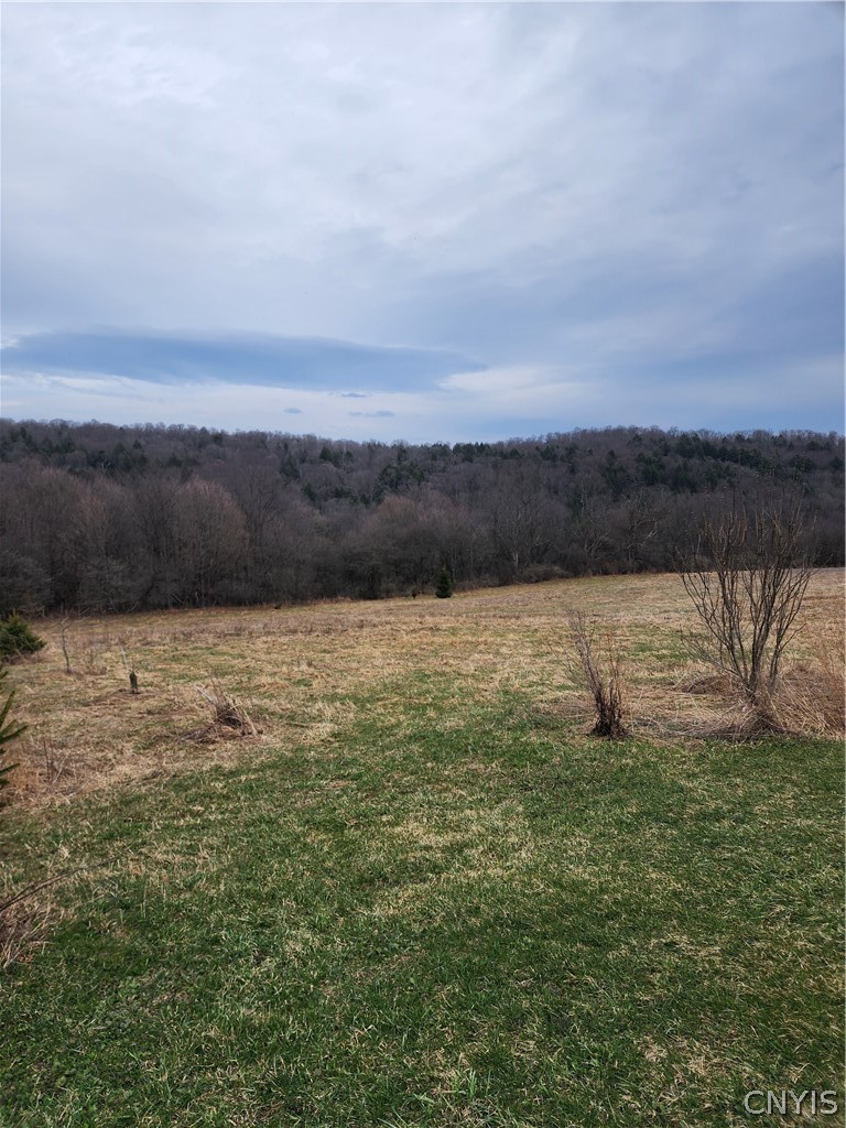 5400 Brake Hill Road Homer, NY 13077 - Photo 32 of 50