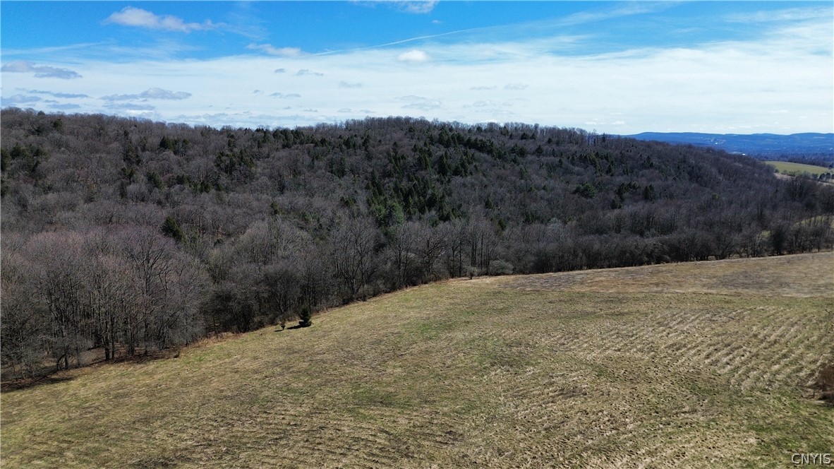 5400 Brake Hill Road Homer, NY 13077 - Photo 45 of 50